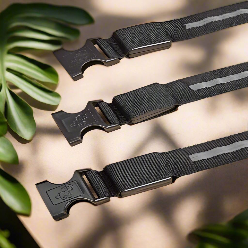 Collier Chien LEDCollarDogâą Noir Securite Du Chien