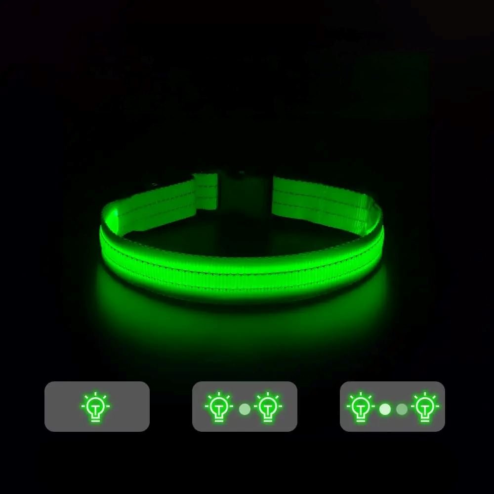 Collier Chien LEDCollarDogâą Vert Securite Du Chien