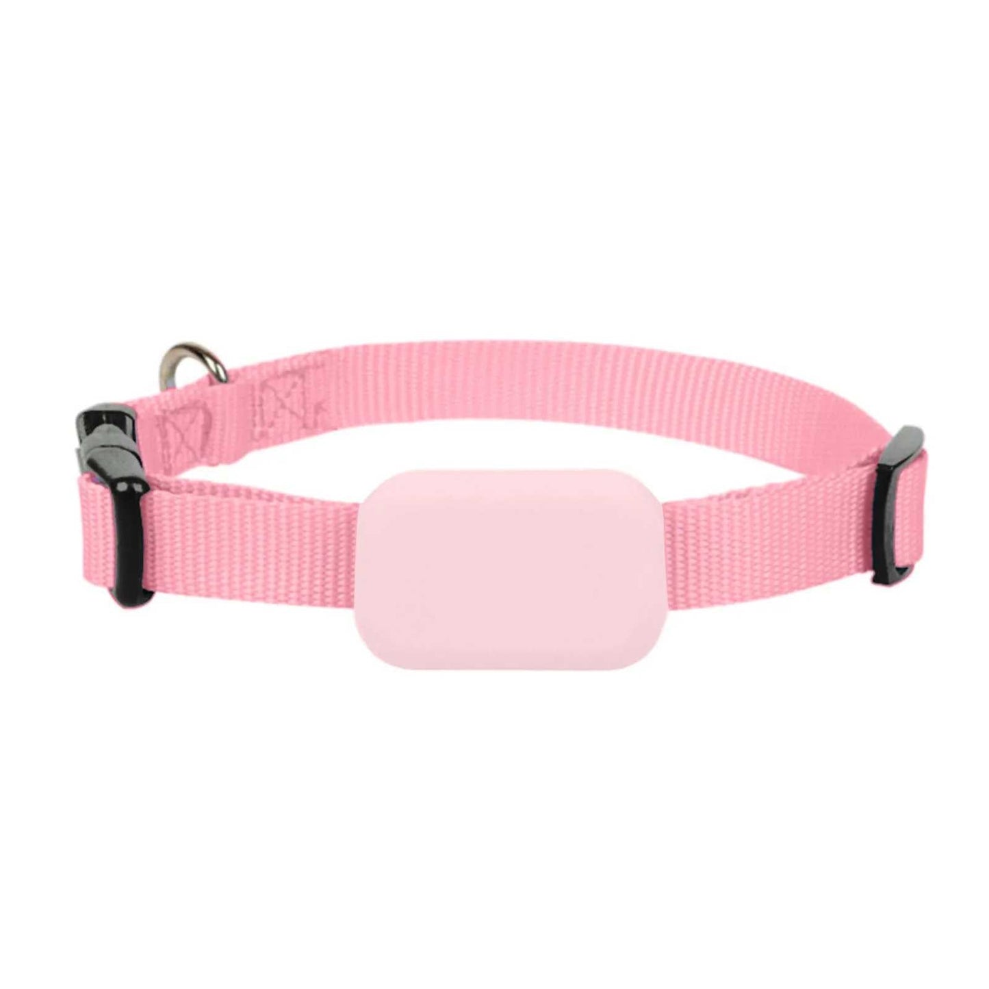 Collier GPS pour chien - fiable - Securite Du Chien