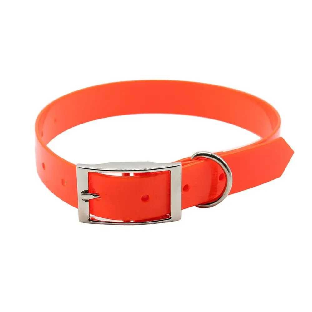 Le collier chien - confortable - Securite Du Chien