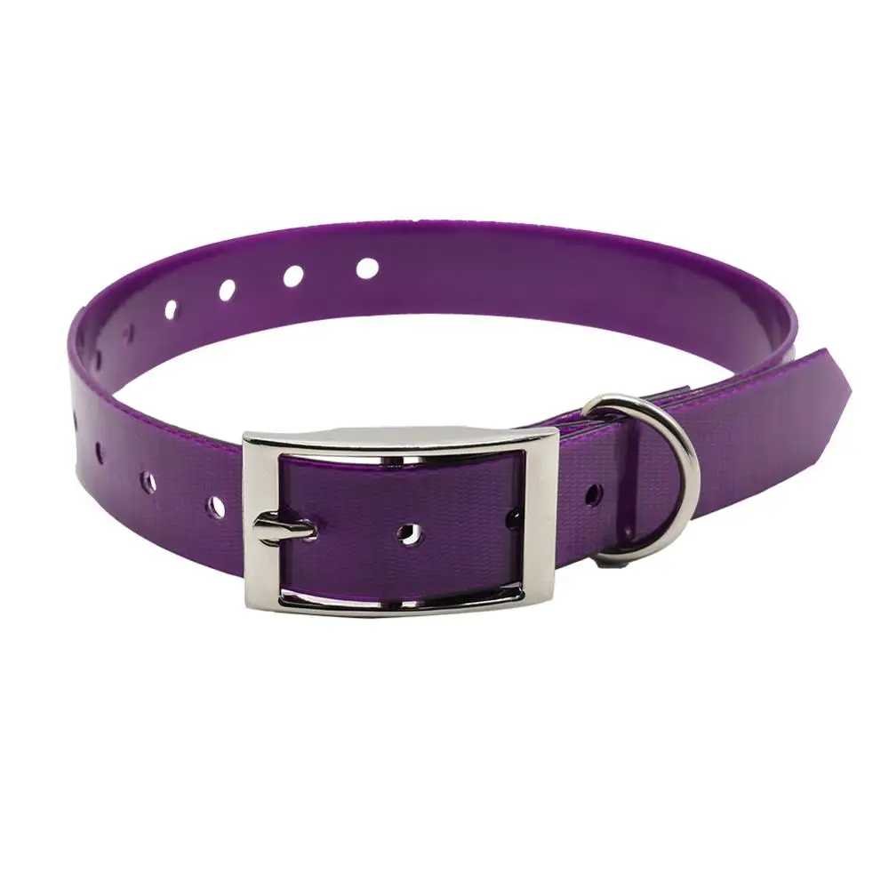 Le collier chien - confortable - Securite Du Chien