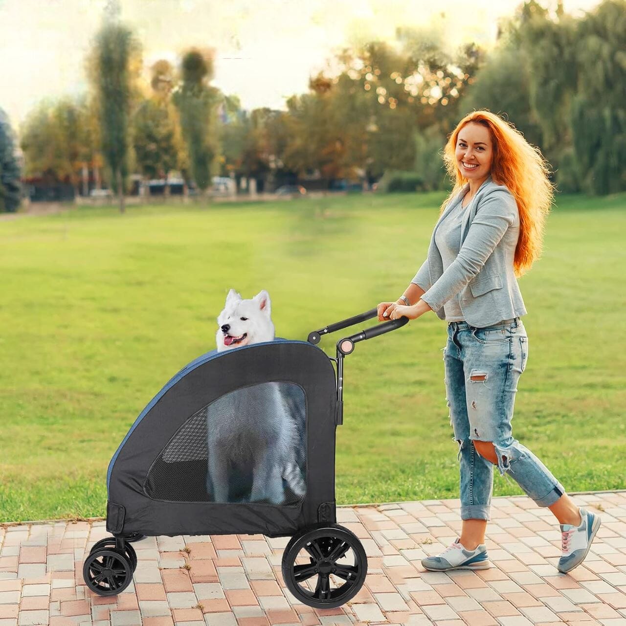 Poussette pour Chien StrollyPet™ Bleu Securite Du Chien