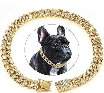 Collier chien - diamants - Securite Du Chien