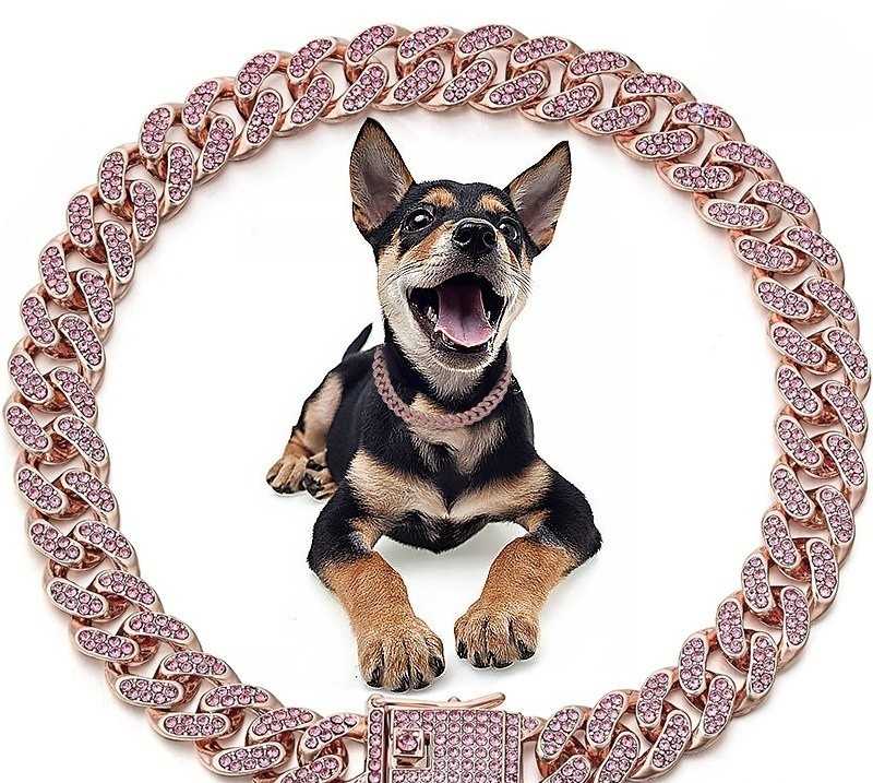 Collier chien - diamants - Securite Du Chien