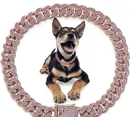 Collier chien - diamants - Securite Du Chien