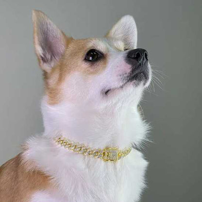 Collier chien - diamants - Securite Du Chien