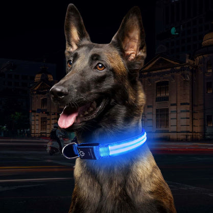 Collier Chien LEDCollarDog™ Bleu Securite Du Chien