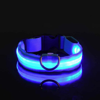 Collier Chien LEDCollarDog™ Bleu Securite Du Chien