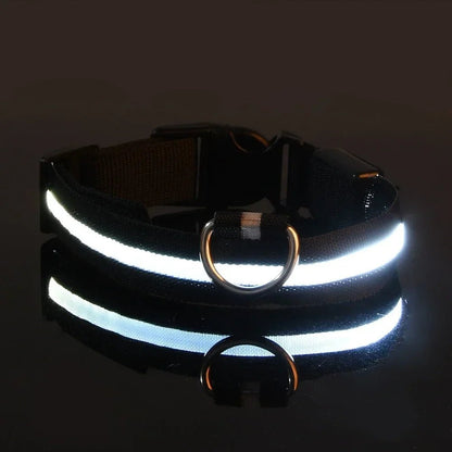 Collier Chien LEDCollarDog™ Noir Securite Du Chien