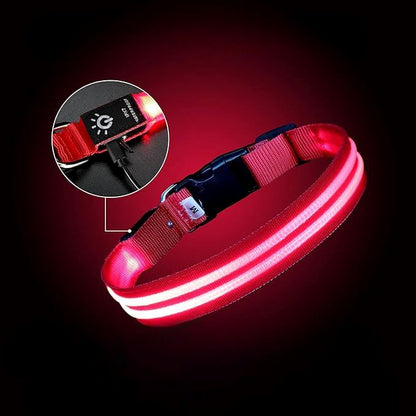 Collier Chien LEDCollarDog™ Rose Securite Du Chien