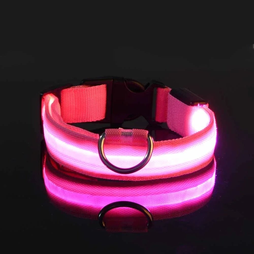 Collier Chien - LEDCollarDog™ - Rose - Securite Du Chien