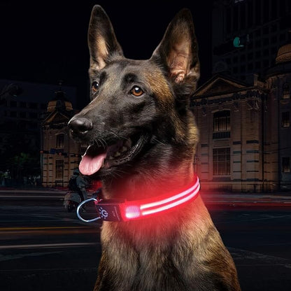 Collier Chien LEDCollarDog™ Rose Securite Du Chien