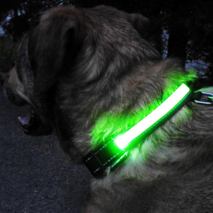 Collier Chien LEDCollarDog™ Vert Securite Du Chien