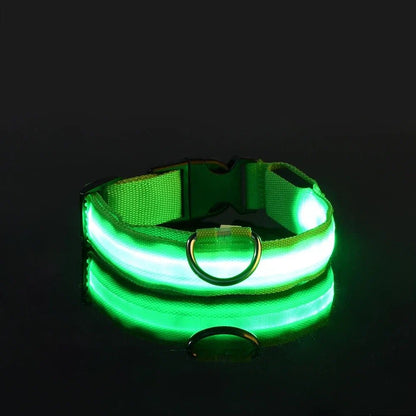Collier Chien LEDCollarDog™ Vert Securite Du Chien
