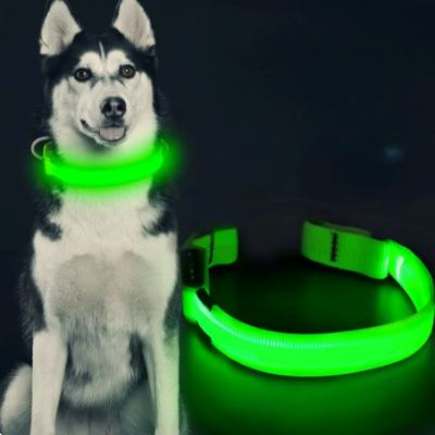 Collier Chien LEDCollarDog™ Vert Securite Du Chien