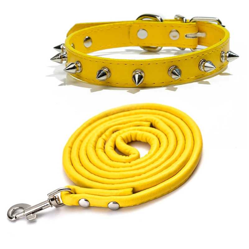 Collier chien - moderne à clous - Securite Du Chien