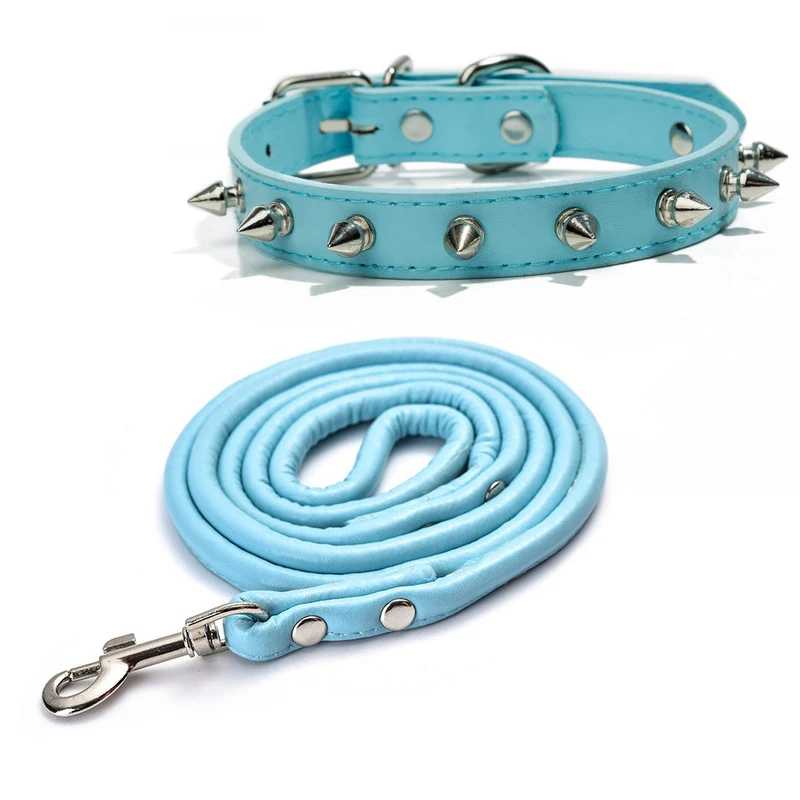 Collier chien - moderne à clous - Securite Du Chien