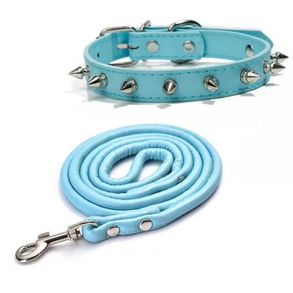 Collier chien - moderne à clous - Securite Du Chien