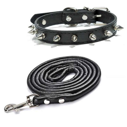 Collier chien - moderne à clous - Securite Du Chien