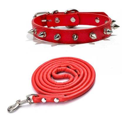 Collier chien - moderne à clous - Securite Du Chien