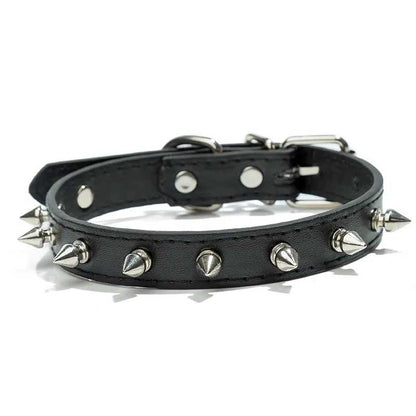 Collier chien - moderne à clous - Securite Du Chien