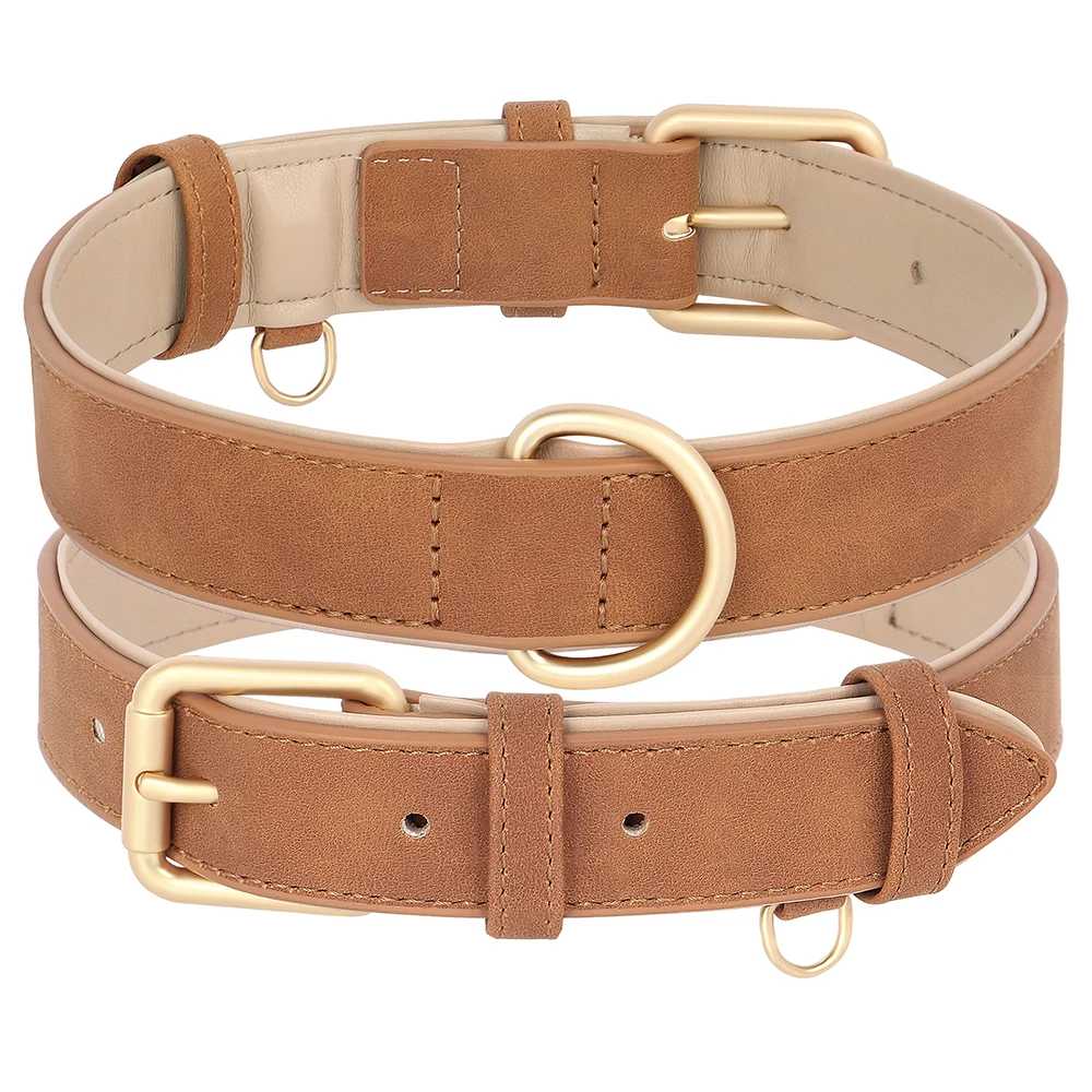 Collier chien - rembourrés - Securite Du Chien