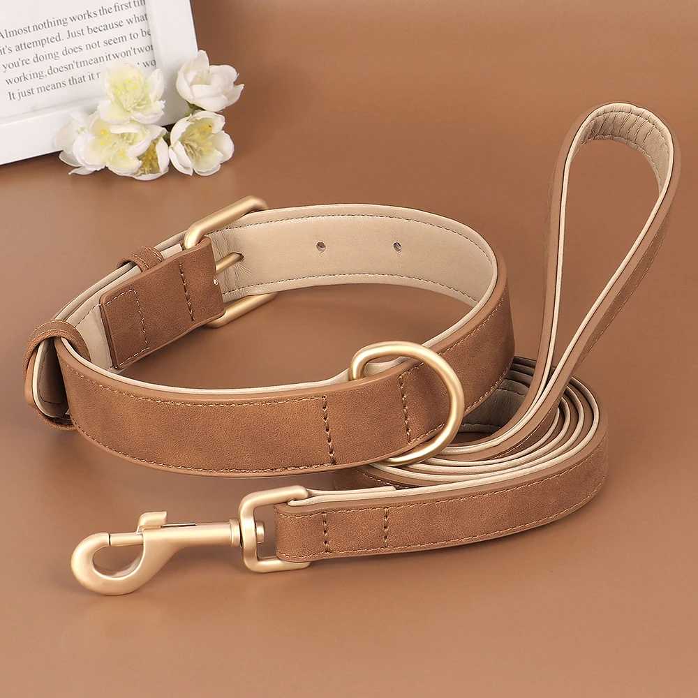 Collier chien - rembourrés - Securite Du Chien