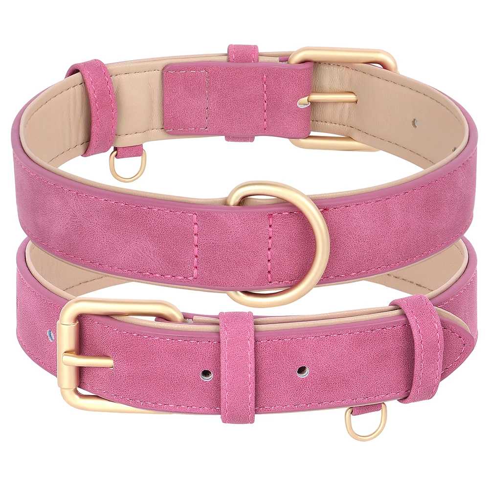 Collier chien - rembourrés - Securite Du Chien