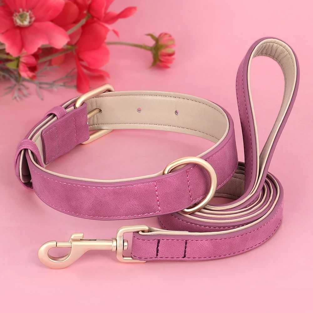 Collier chien - rembourrés - Securite Du Chien