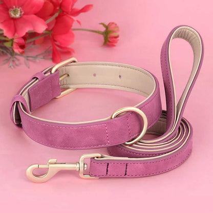 Collier chien - rembourrés - Securite Du Chien