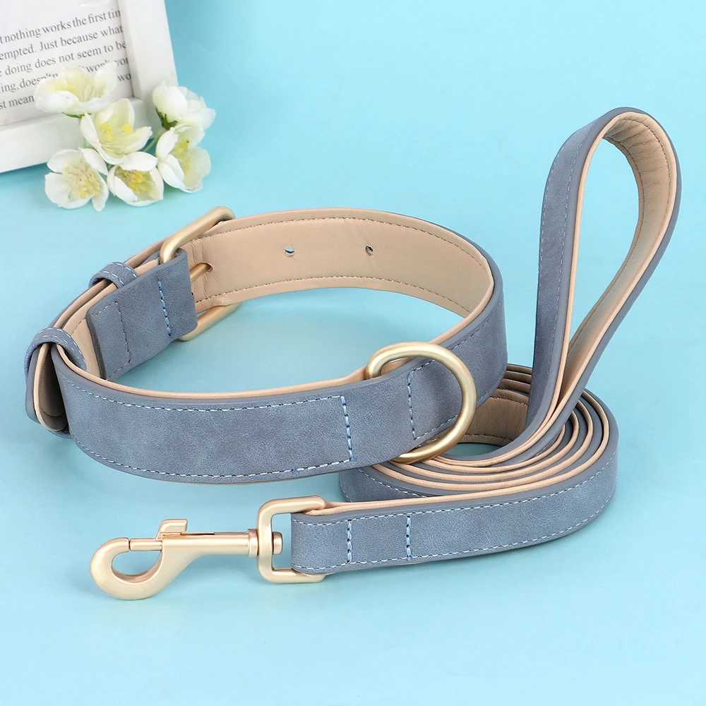 Collier chien - rembourrés - Securite Du Chien