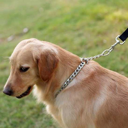 Collier de dressage pour chien - Securite Du Chien