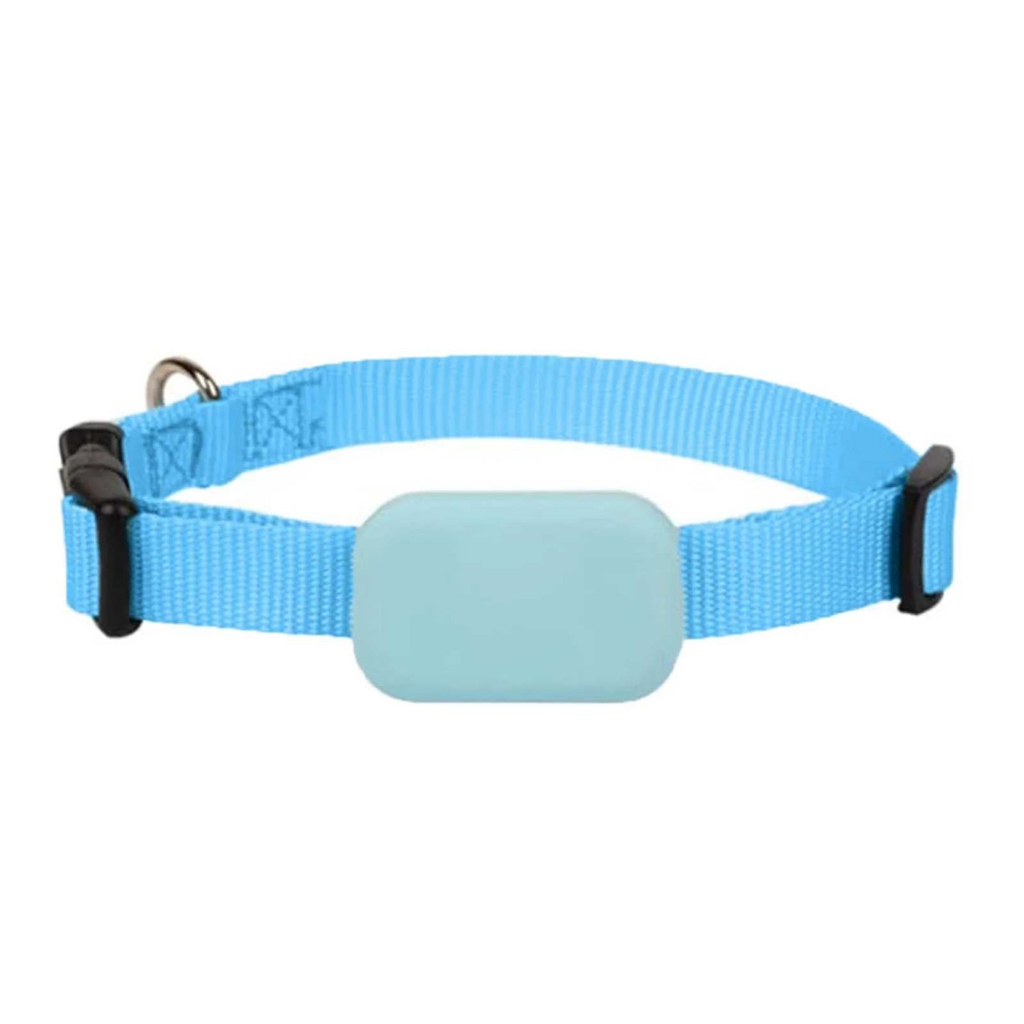 Collier GPS pour chien - fiable - Securite Du Chien