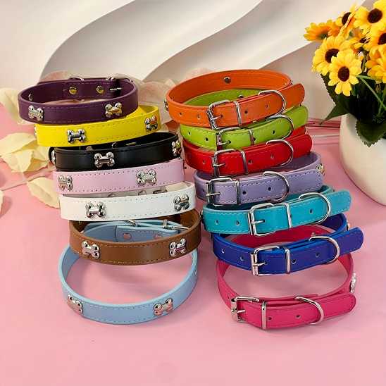 Collier pour chien - Clouté os - Securite Du Chien