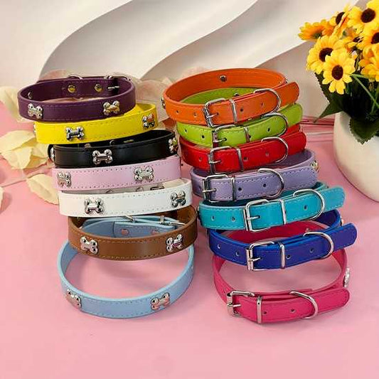 Collier pour chien - Clouté os - Securite Du Chien
