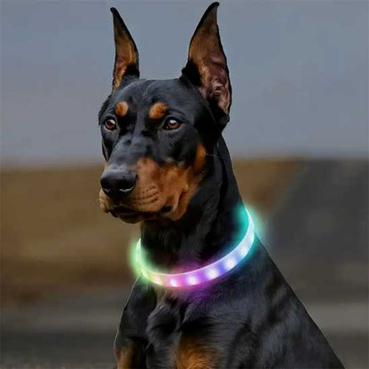 Collier pour chien - lumineux LED - Securite Du Chien