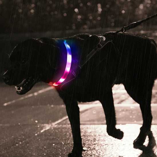 Collier pour chien - lumineux LED - Securite Du Chien