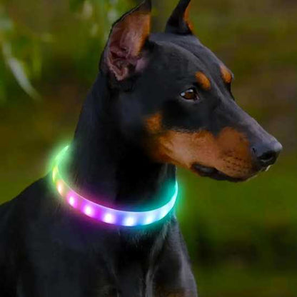 Collier pour chien - lumineux LED - Securite Du Chien