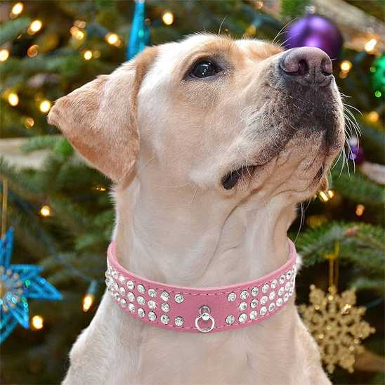 collier pour chien - strass - Securite Du Chien