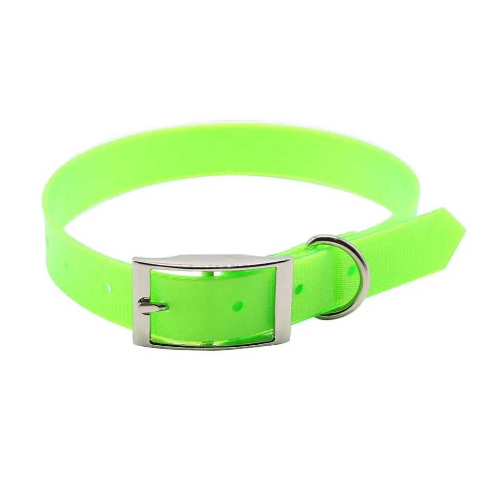 Le collier chien - confortable - Securite Du Chien