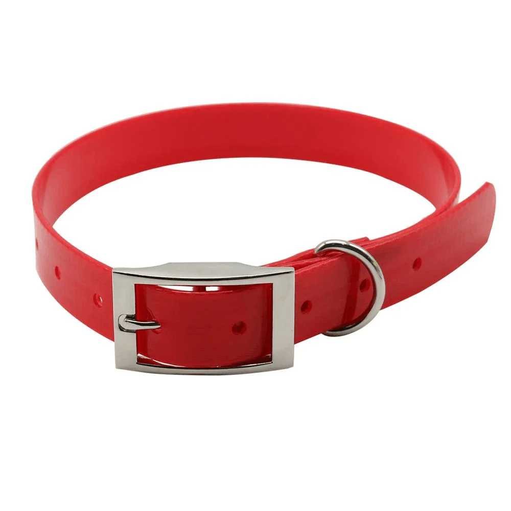 Le collier chien - confortable - Securite Du Chien