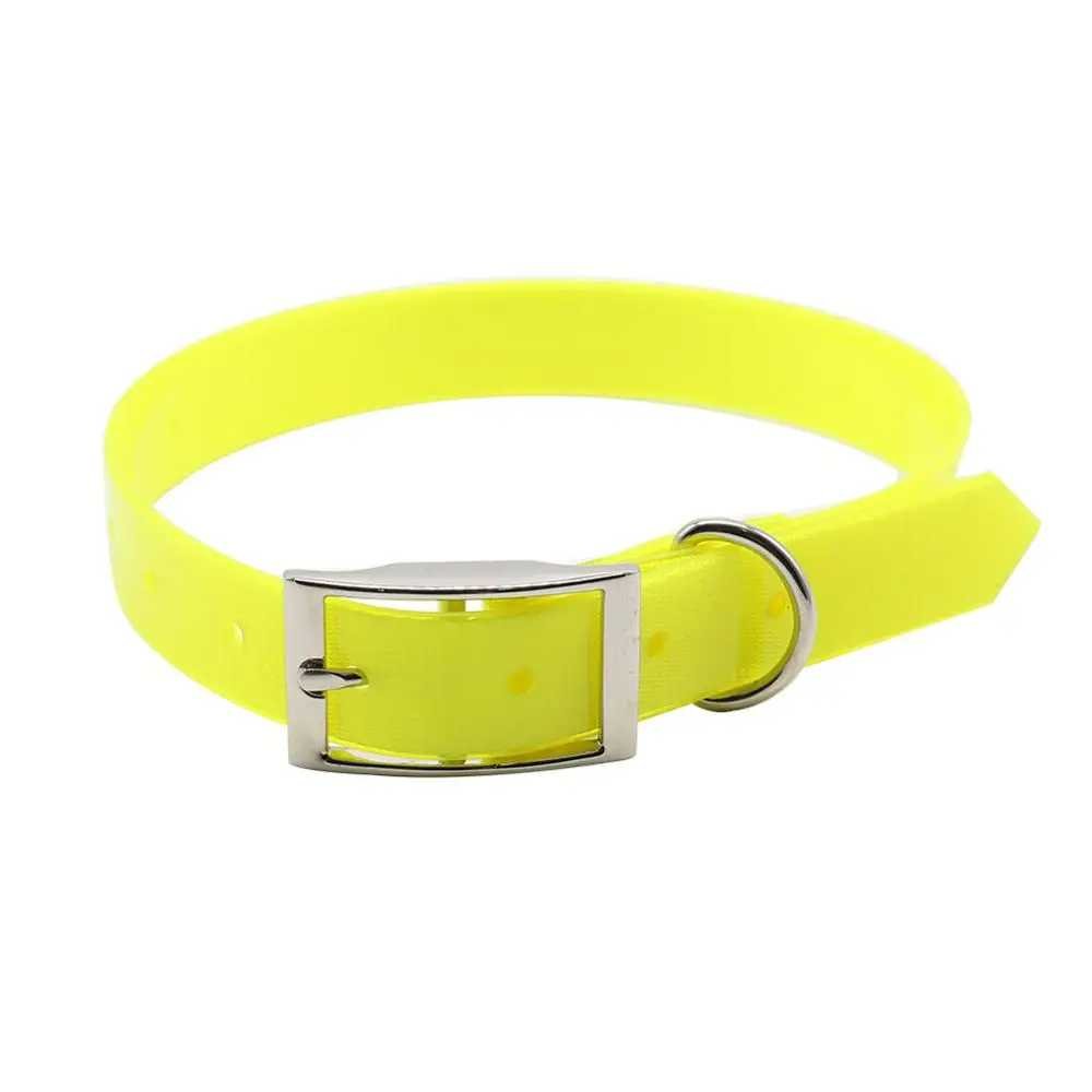 Le collier chien - confortable - Securite Du Chien