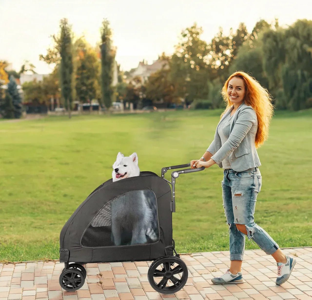 Poussette pour Chien - StrollyPet™ - Noir - Securite Du Chien