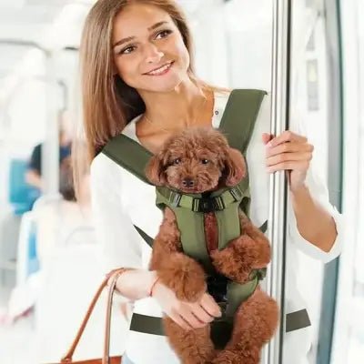 Sac a Dos pour Chien PetCarrier™ Vert Securite Du Chien