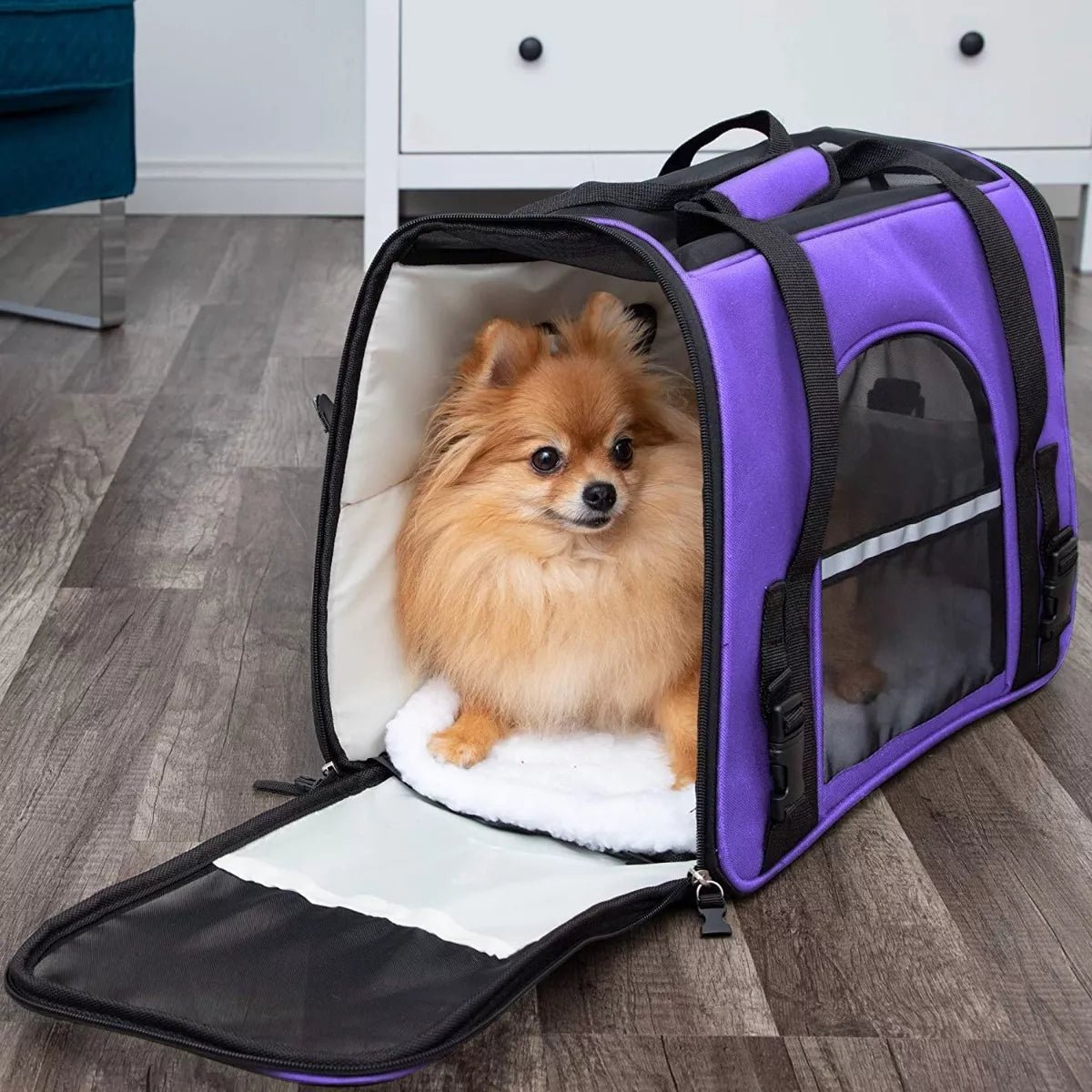 Sac de Transport pour Chien DogCarrierBag™ Violet Securite Du Chien